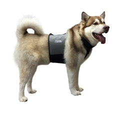 CoolerDog Dog Cooling Vest and Cooling Collar - Ice Vest for Dogs Large (27" to 34" Girth)