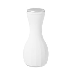 Home Ice Roller for Cooling and Pore Tightening
