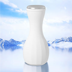 Home Ice Roller for Cooling and Pore Tightening